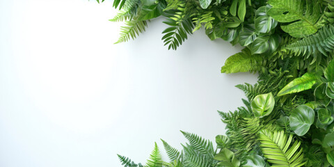 Wall Mural - Green Leaf Border.