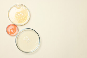 Wall Mural - Petri dishes with samples on beige background, top view. Space for text