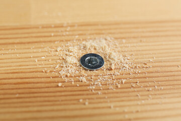 Wall Mural - Screw in wooden plank and sawdust, closeup