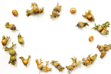 Wall Mural - Fresh hazelnuts with leafy shells, top view. Hazelnut harvest season