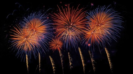 Poster - Vibrant display of explosive fireworks illuminating the night sky