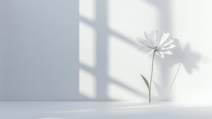 Poster - Minimalist white interior design featuring a flower in 3D rendering