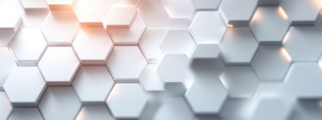 Leinwandbilder - White hexagonal background featuring a subtle light pattern
