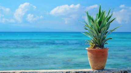 Wall Mural - A small plant is sitting in a pot on a beach