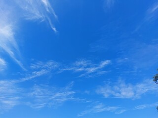 Wall Mural - blue sky background with tiny clouds
