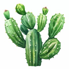 Sticker - Watercolor painting of cactus on a white background