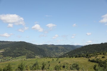 Canvas Print - Green forest in mountains under blue sky