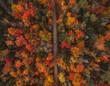 © And They Travel - Overhead View Autumn of Camper Van Driving Forest Road. Colorful Trees Looking Straight Down Scenic Landscape Moody Autumn Vibes