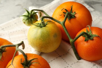 Wall Mural - Branch of yellow tomatoes on grey textured table, closeup