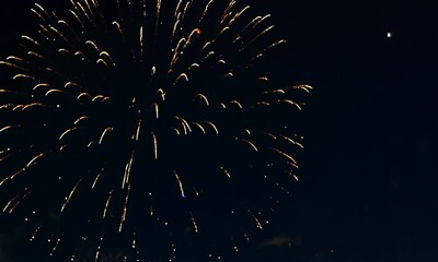 Canvas Print - A fireworks display in the night sky. The fireworks are in the air and are brightly colored. The sky is dark and the fireworks are the only light source