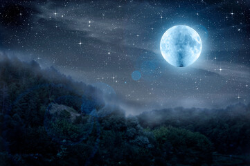 Wall Mural - moon and dark starry sky in the silhouette of the forest. fog is rising over the night forest. hallo