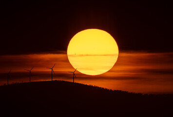 Wall Mural - Spectacular summer sunset!