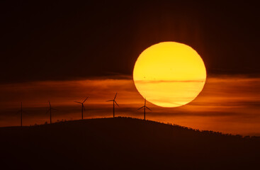 Wall Mural - Spectacular summer sunset!