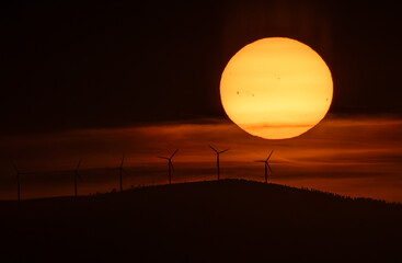 Wall Mural - Spectacular summer sunset!