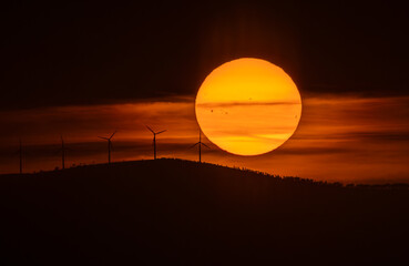 Wall Mural - Spectacular summer sunset!