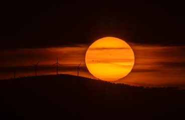 Wall Mural - Spectacular summer sunset!
