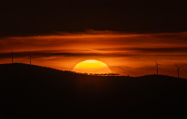 Wall Mural - Spectacular summer sunset!