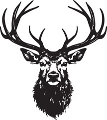 whitetail deer head vector