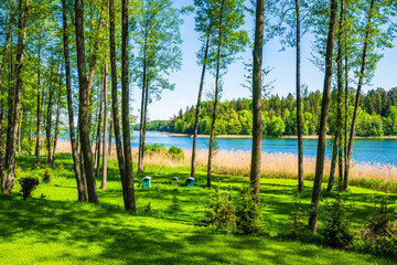 Trees on shore of Wigry lake, Wigry National Park, Podlasie, Poland