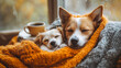 © Nikita - Dogs comfortably nestled in warm blankets, enjoying a serene and cozy autumn atmosphere. The setting highlights the comfort and relaxation of a peaceful indoor environment..