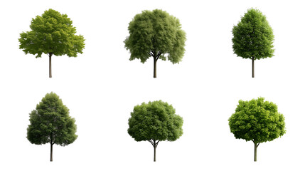 Wall Mural - Set of various types of green trees isolated on transparent background