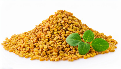 Fenugreek isolated on a white background