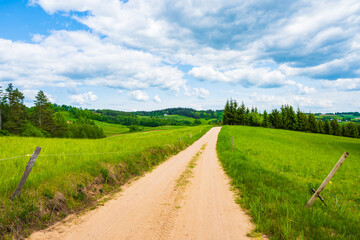 Rural road in green farming landscape with hills and meadows, Suwalski Landscape Park, Podlasie, Poland