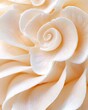 © Fokasu Art - Detailed view of a seashell's spiral and ridges, macro, showcasing the beauty of the ocean.