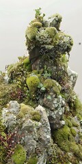 Wall Mural - Green Mossy Rock Formation in Nature