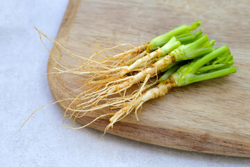 Canvas Print - Fresh organic coriander, leaves with roots. Vegetables and herbs