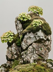 Wall Mural - Moss Covered Rocks with Green Plants