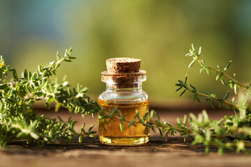 Wall Mural - A bottle of aromatherapy essential oil with fresh thyme leaves and green bokeh