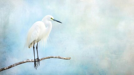 Wall Mural -   A white bird perched on a branch against a blue sky in the foreground, while a blue sky dominated the background