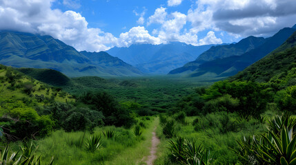 Poster - View Valley With Mountains The Background