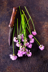 Sticker - Green chives or allium in bloom with purple violet flowers and green stems