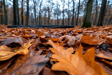 Wall Mural - Hunting Forest in late autumn, captured in a photo where the leaves have mostly fallen, leaving the trees bare and the ground covered in a thick carpet of orange and brown