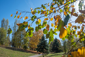 Wall Mural - Autumn view of South Park in city of Sofia, Bulgaria