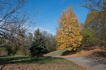 Wall Mural - Autumn view of South Park in city of Sofia, Bulgaria