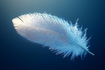 A single white feather delicately illuminated against a serene blue backdrop.