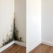 © KATERYNA - Mold in the corner of a wall above the laminate flooring, photos before and after cleaning Comparative Before and after black mold dirty wall and clean white wall