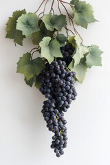 Wall Mural - Bunch of ripe dark grapes with bright green leaves on a light background