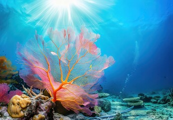 Canvas Print - Sunbeams Through Underwater Sea Fan