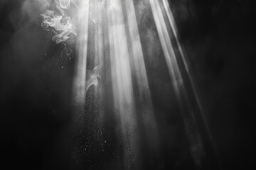 Poster - A black and white photograph of a bird in mid-flight, taken from a dynamic perspective