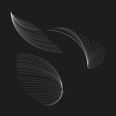 Wall Mural - Abstract flowing lines. Dynamic curved shapes. Elegant movement illustration. Black background vector.