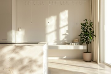 Aufkleber - A cozy kitchen scene with a white interior and a green plant in the corner, ideal for use in lifestyle or food photography