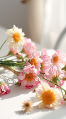 Wall Mural - Delicate Pink Flowers on a White Background