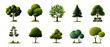 © sunchai - A collection of diverse trees showcasing various shapes, sizes, and shades of green, perfect for nature-themed designs.