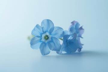 Wall Mural - A couple of blue flowers sitting on a table