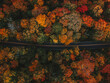 © And They Travel - Moody Fall Vibes Aerial Birds Eye View of Paved Road Through Colorful Forest of Fall Foliage Trees in Autumn Season