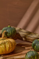 Pumpkin product advertisement from front angle shot on brown background. Some green and ripe pumpkins are displayed in the foreground. Blank space on a log in back for product showing